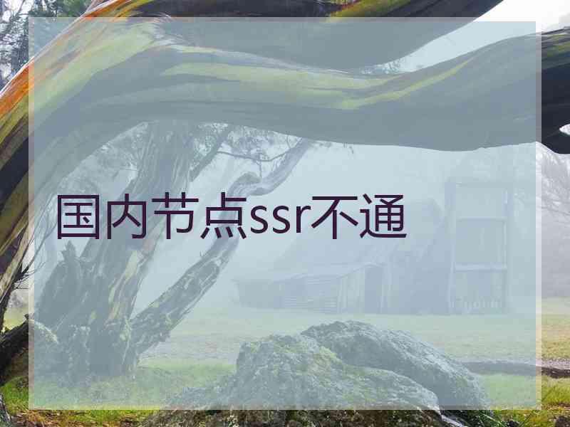 国内节点ssr不通