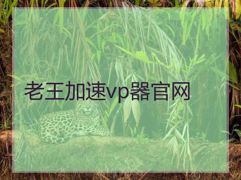 老王加速vp器官网