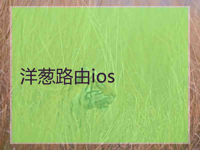 洋葱路由ios