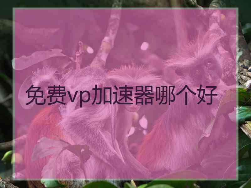 免费vp加速器哪个好