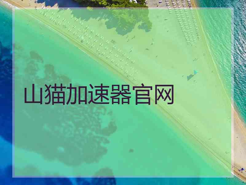 山猫加速器官网