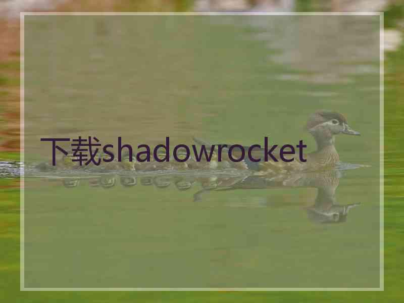 下载shadowrocket