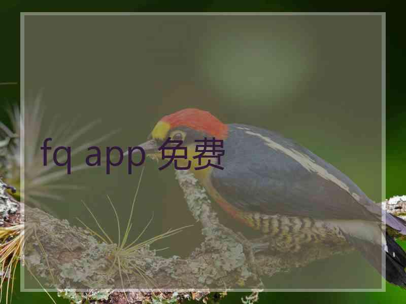 fq app 免费