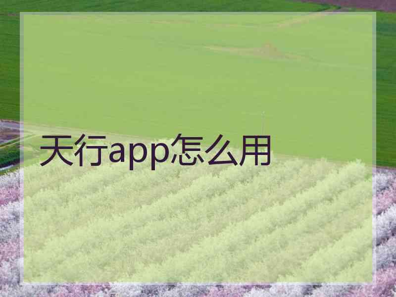 天行app怎么用