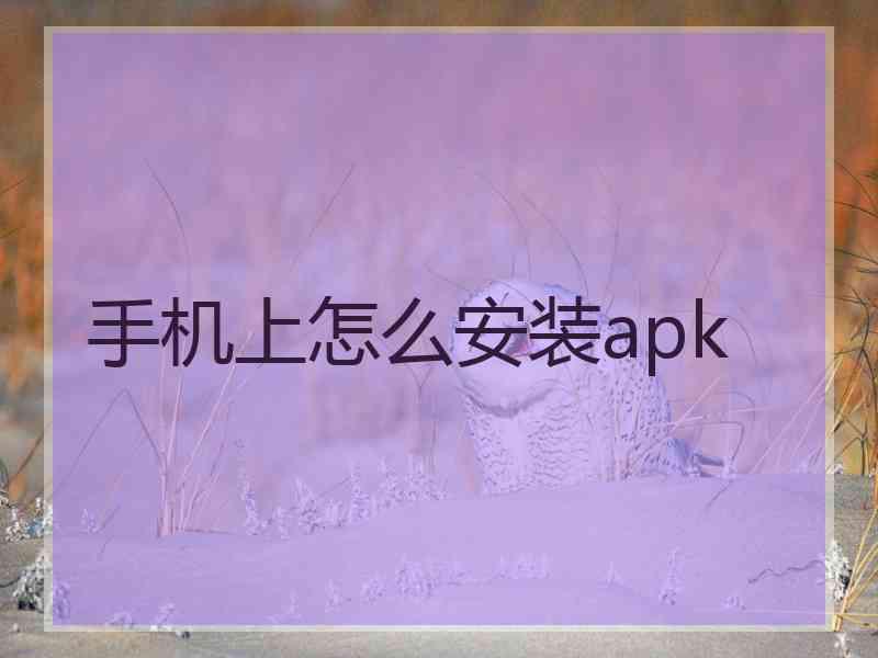 手机上怎么安装apk