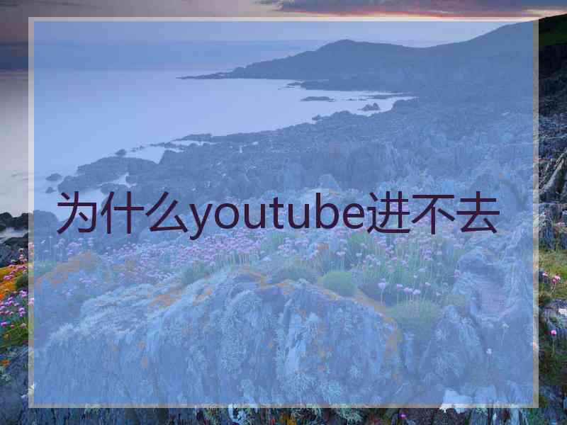 为什么youtube进不去