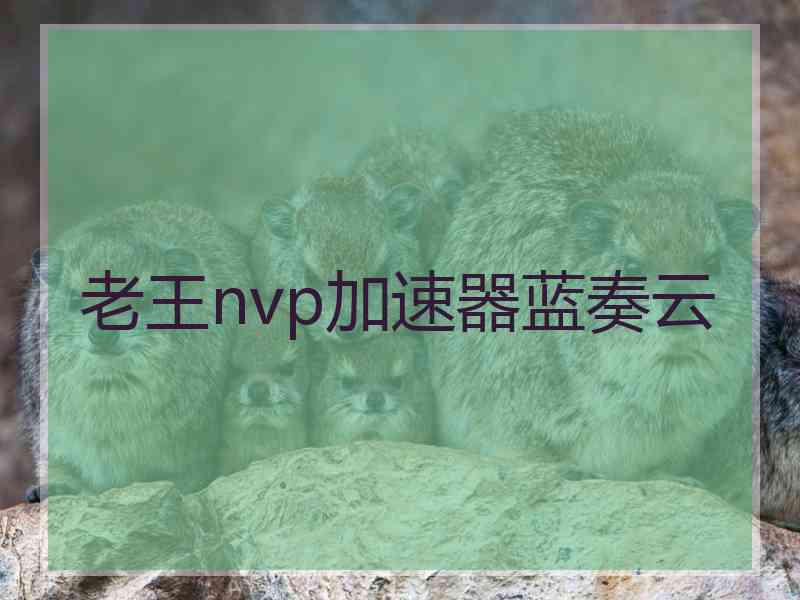 老王nvp加速器蓝奏云