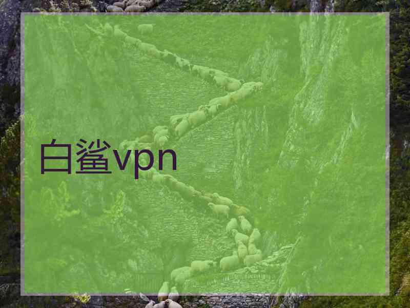 白鲨vpn