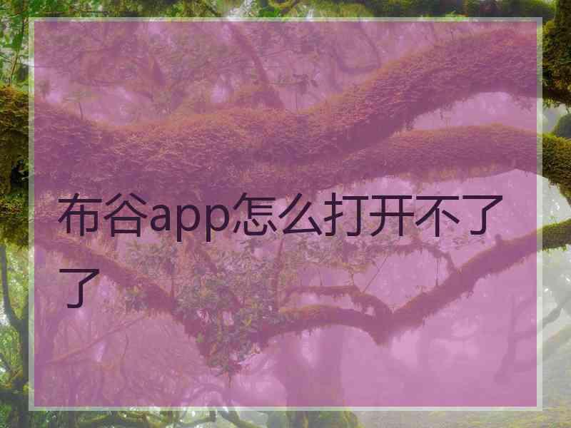 布谷app怎么打开不了了