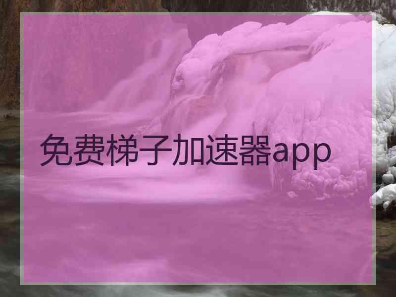 免费梯子加速器app