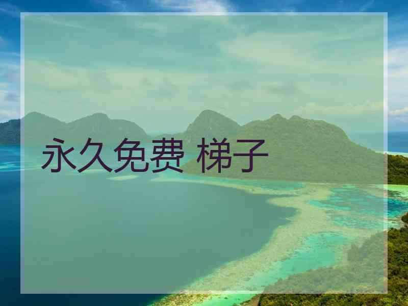 永久免费 梯子