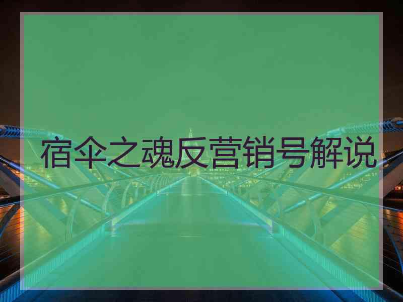 宿伞之魂反营销号解说