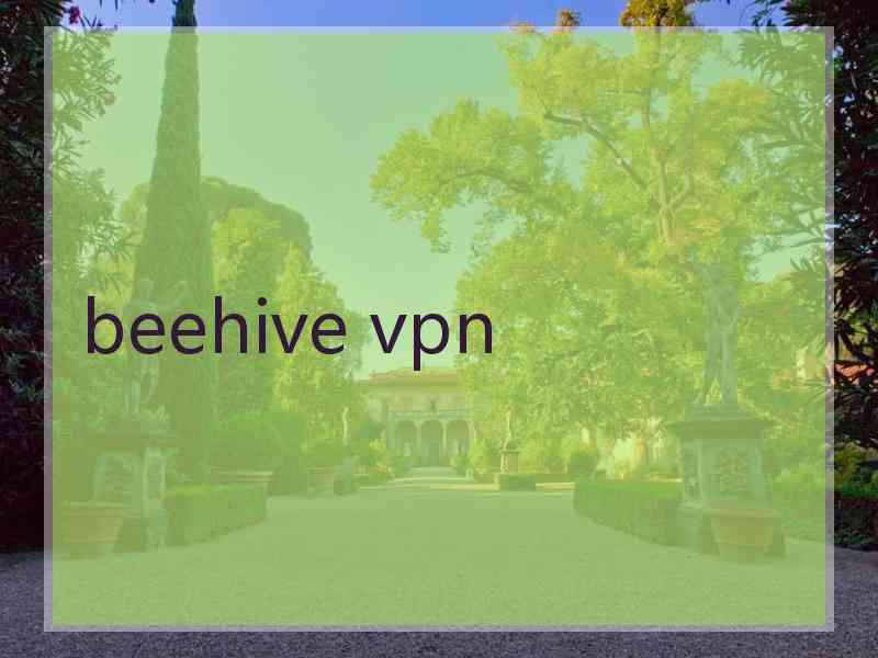 beehive vpn