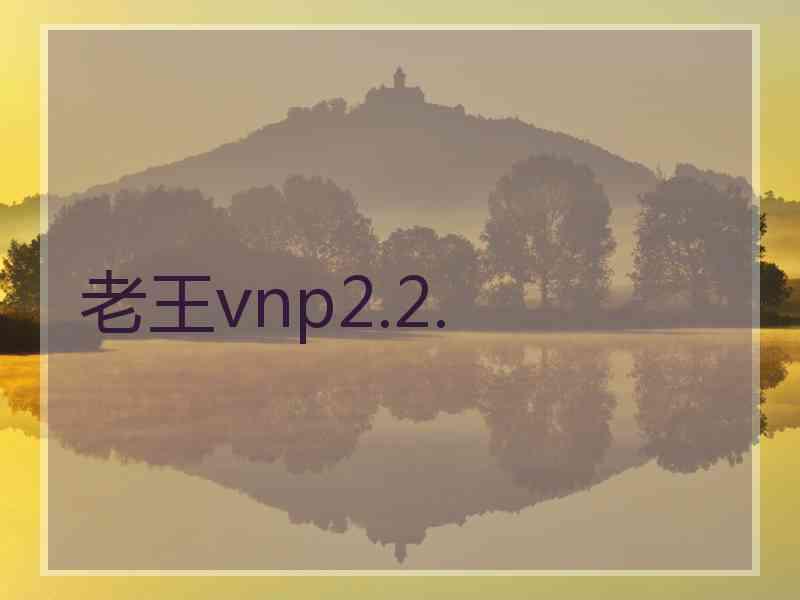 老王vnp2.2.