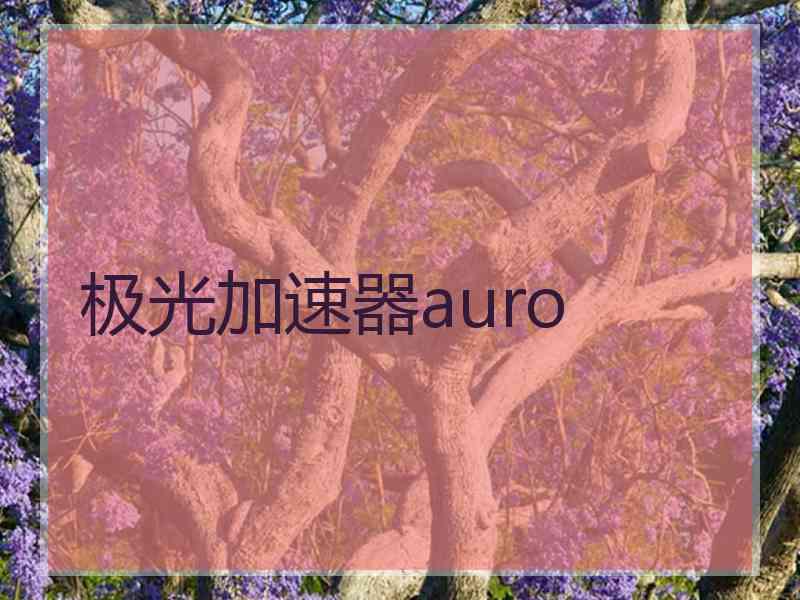 极光加速器auro