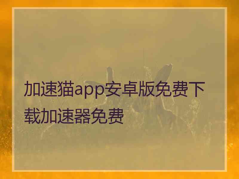 加速猫app安卓版免费下载加速器免费