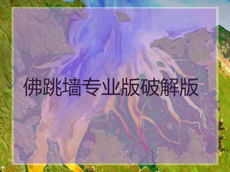 佛跳墙专业版破解版