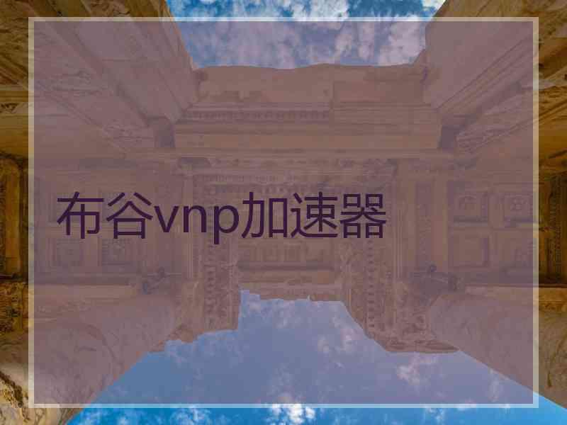 布谷vnp加速器