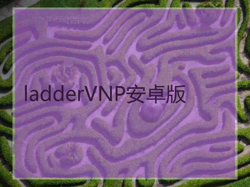 ladderVNP安卓版