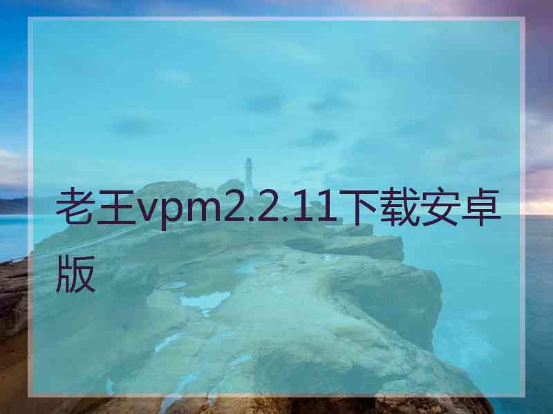 老王vpm2.2.11下载安卓版