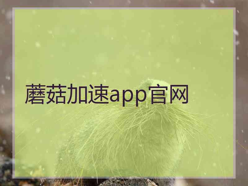 蘑菇加速app官网