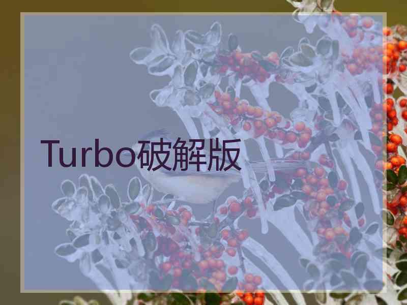 Turbo破解版