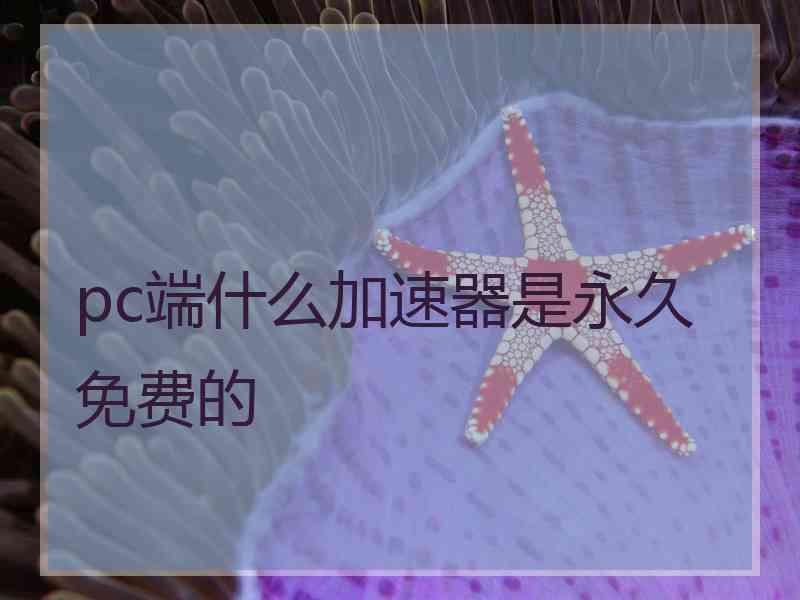 pc端什么加速器是永久免费的