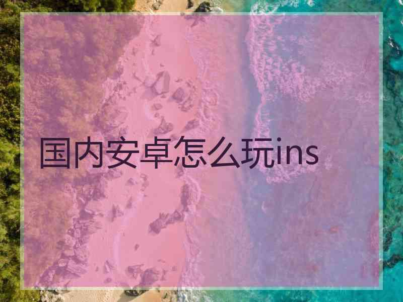 国内安卓怎么玩ins