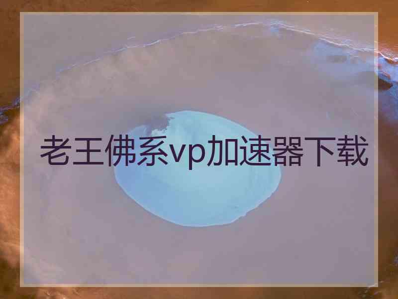 老王佛系vp加速器下载