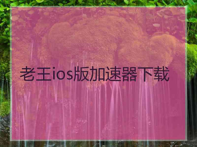 老王ios版加速器下载