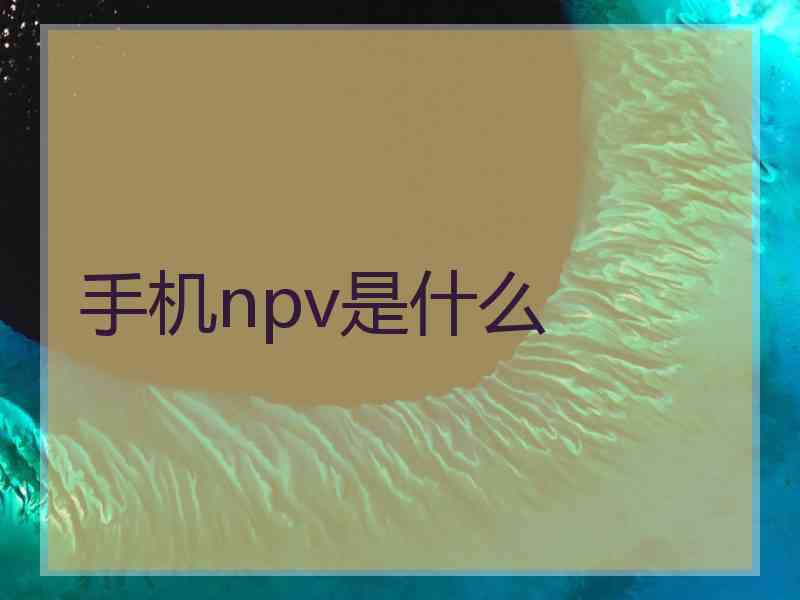 手机npv是什么