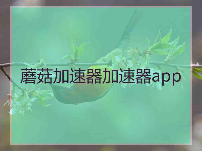 蘑菇加速器加速器app