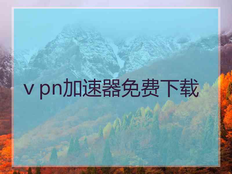 ⅴpn加速器免费下载