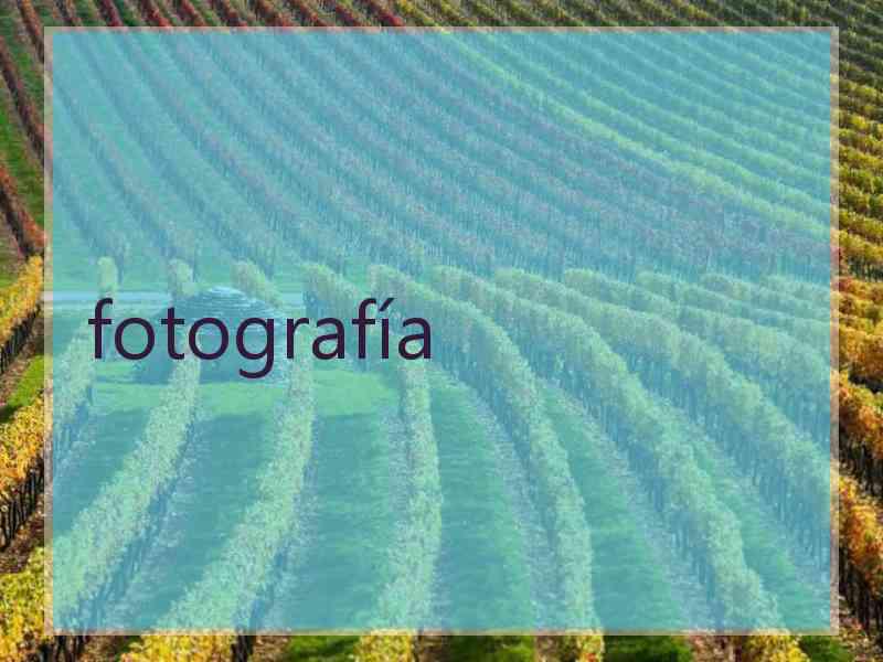 fotografía