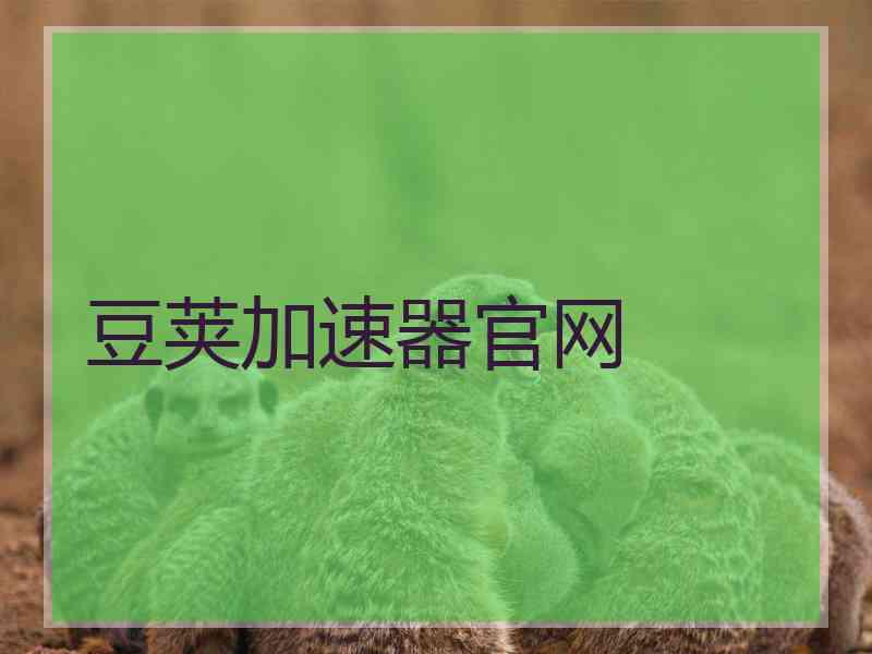 豆荚加速器官网