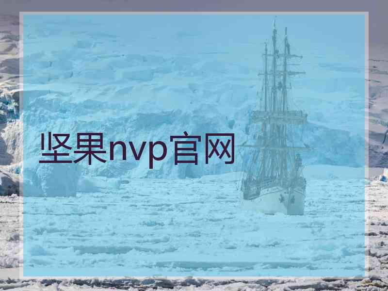 坚果nvp官网