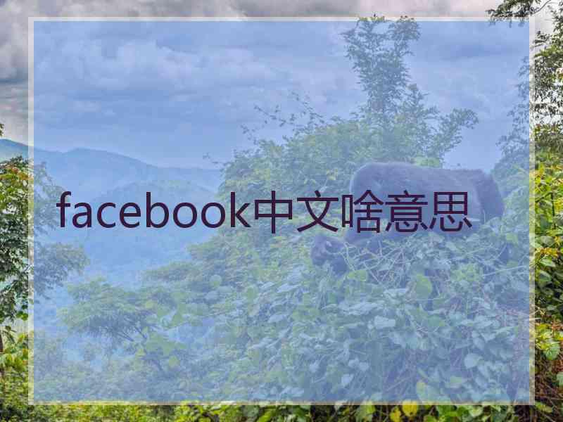 facebook中文啥意思