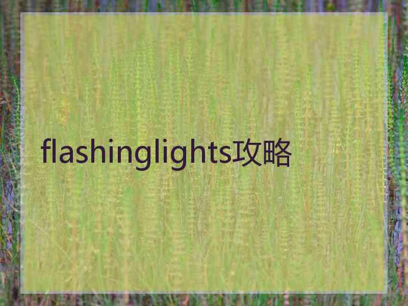 flashinglights攻略