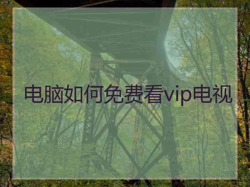 电脑如何免费看vip电视