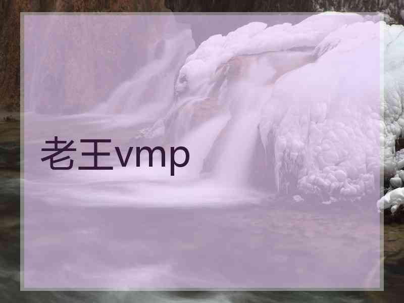 老王vmp