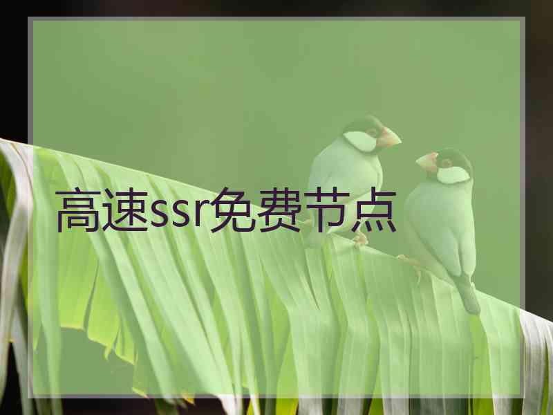 高速ssr免费节点