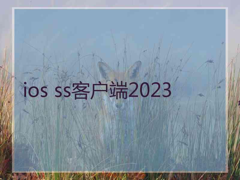 ios ss客户端2023