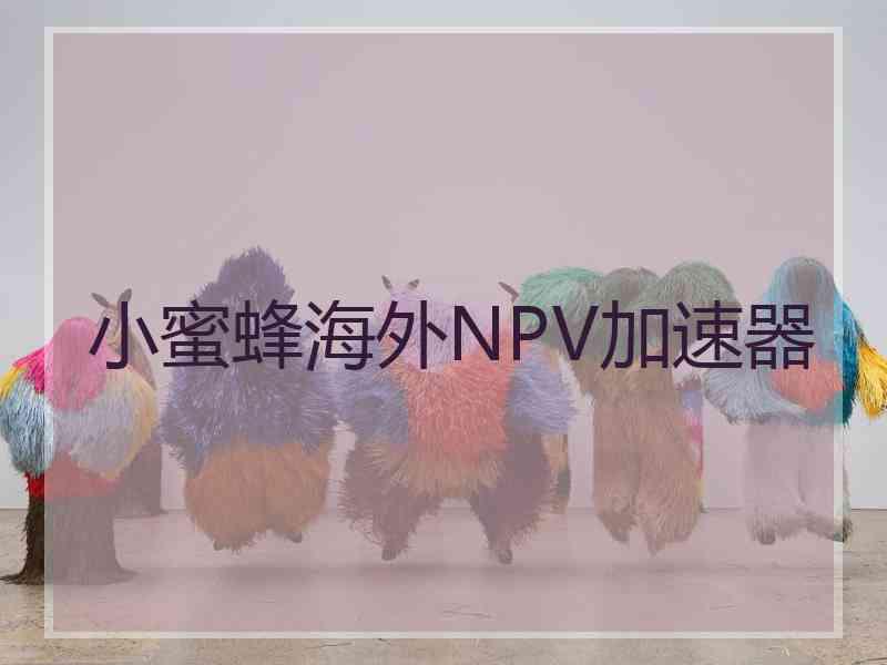 小蜜蜂海外NPV加速器