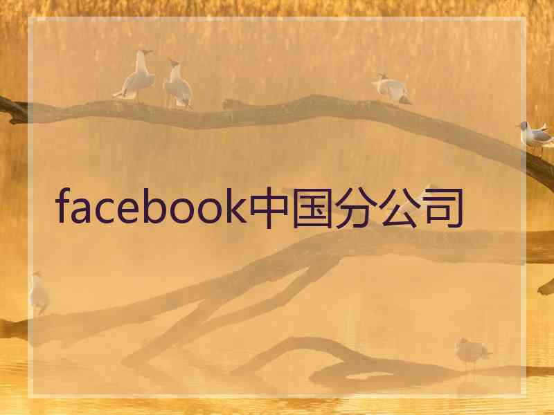 facebook中国分公司