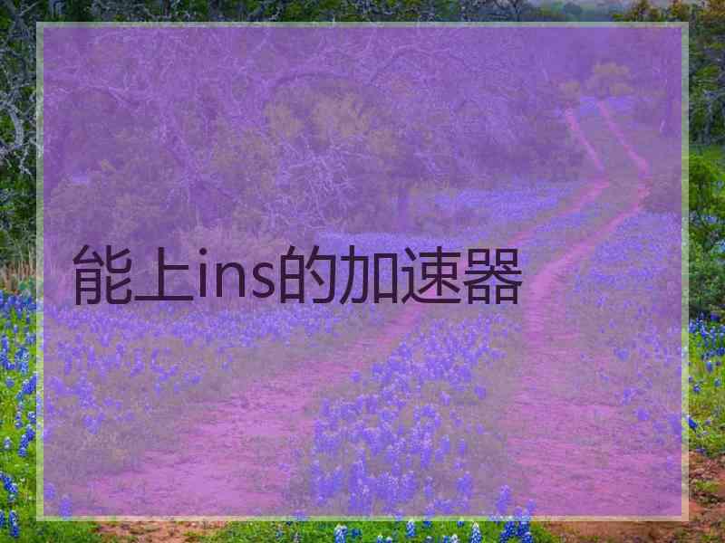 能上ins的加速器