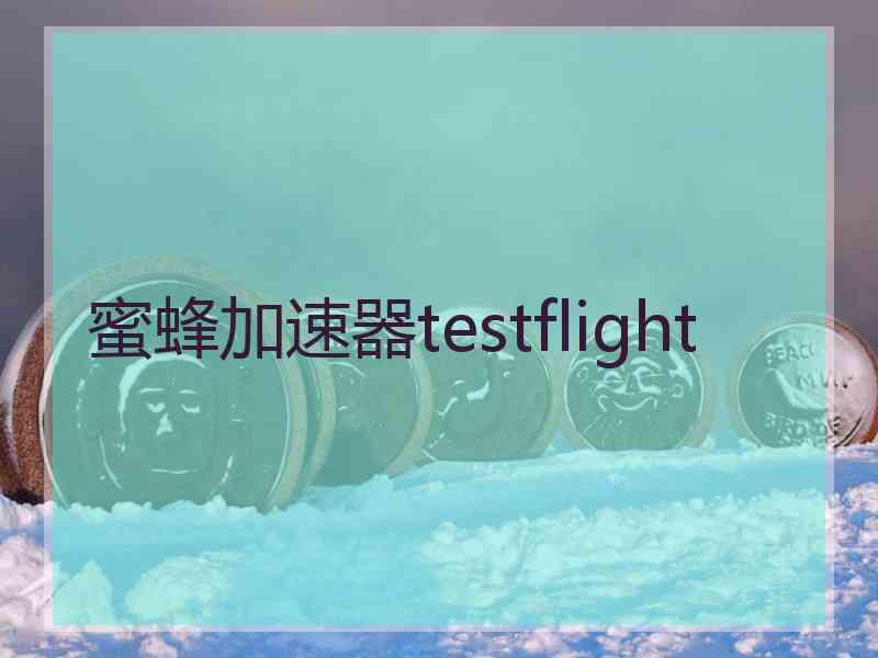 蜜蜂加速器testflight