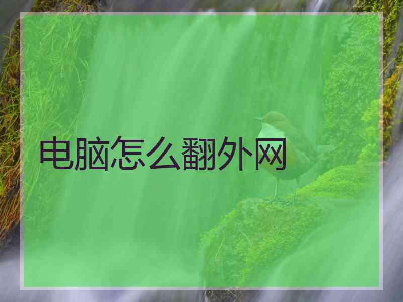 电脑怎么翻外网