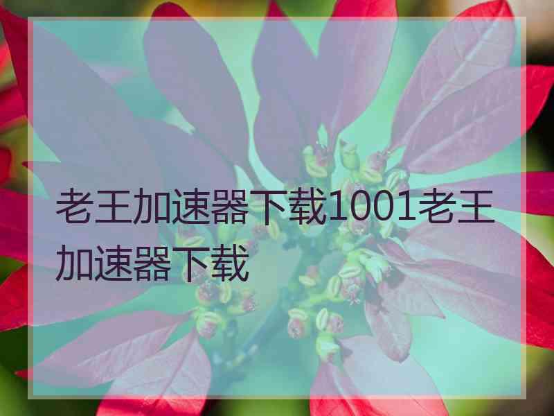 老王加速器下载1001老王加速器下载