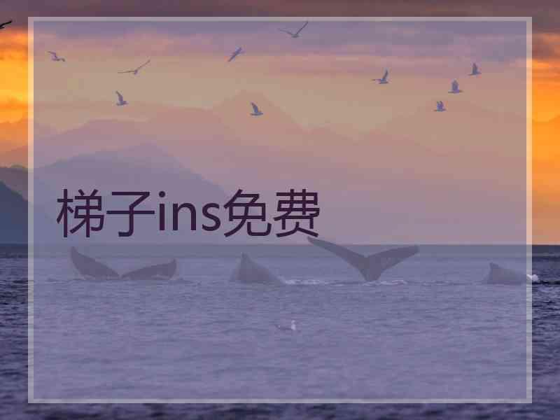 梯子ins免费