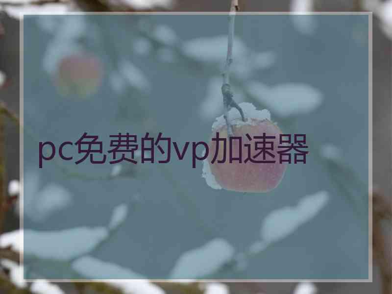 pc免费的vp加速器